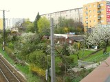 Kleingärten neben der Westbahnstrecke bei Ameisbrücke