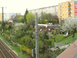 Kleingrten neben der Westbahnstrecke bei Ameisbrcke