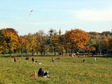 Drachensteigen in den Steinhofgrnden