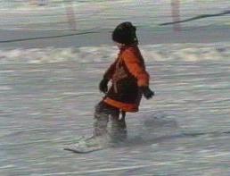 board.jpg (9459 Byte)